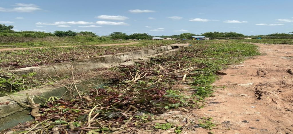 after cleanup akoma 1
