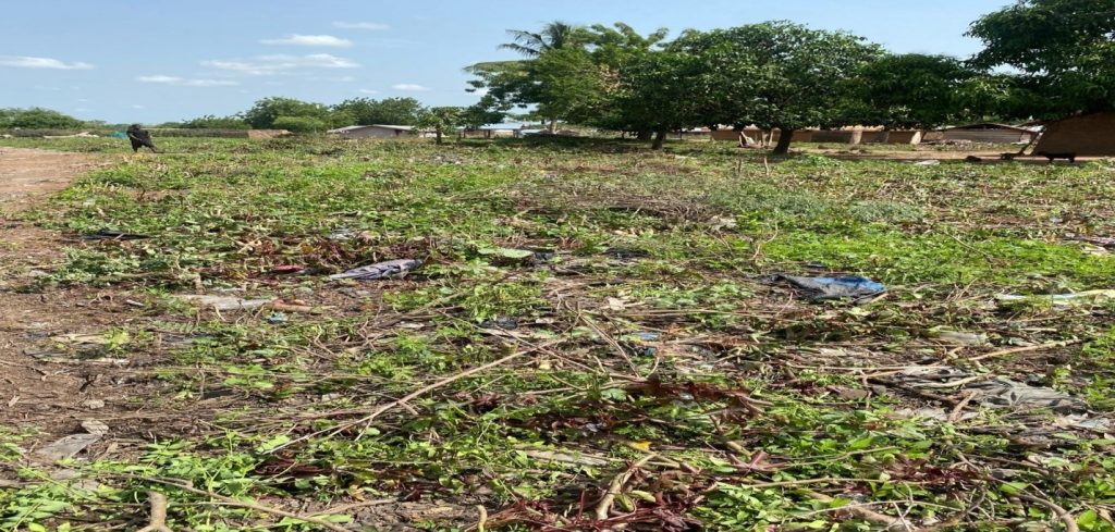 after cleanup akoma 2