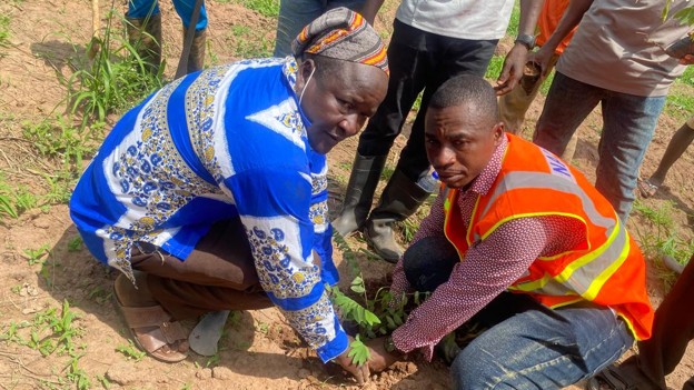 planting 1