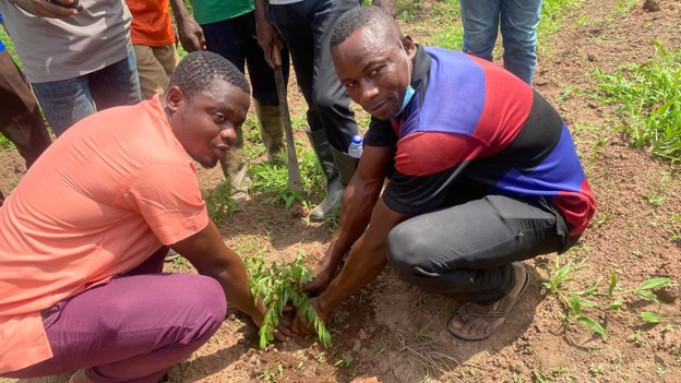 planting 2